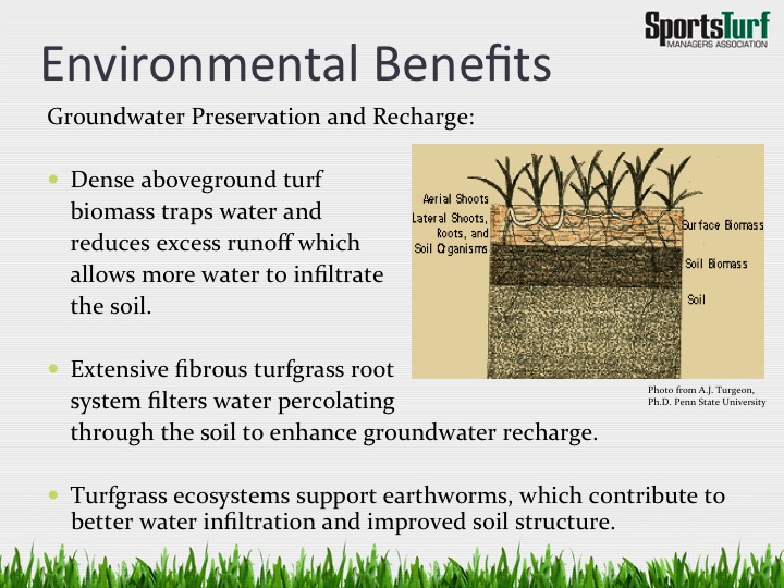 Environmental_Benefits_1.jpg