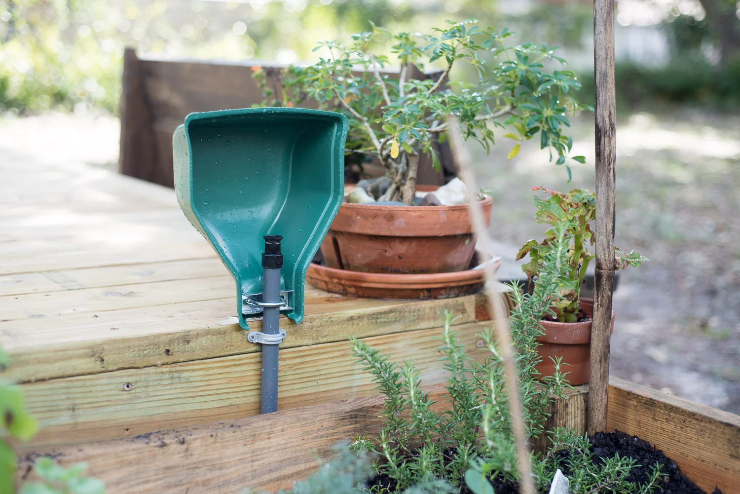 Aqua Guard Sprinkler Shield