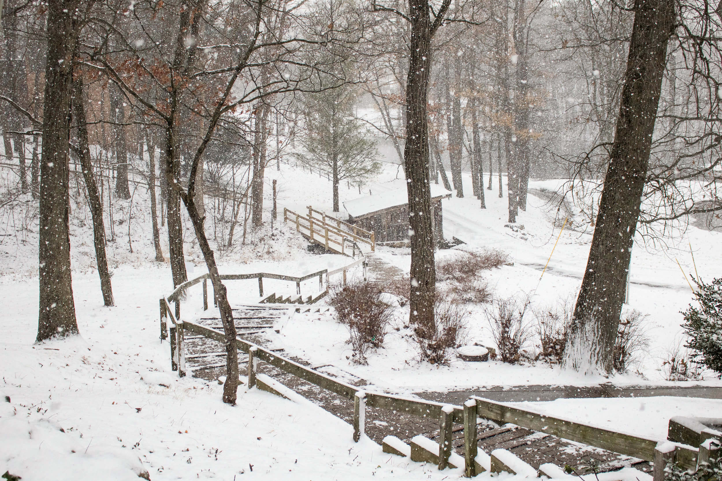 The Stairway to Success