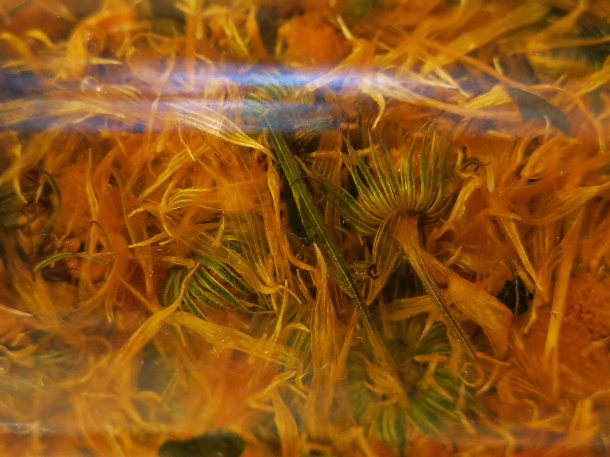 Soap High Res 4.jpg