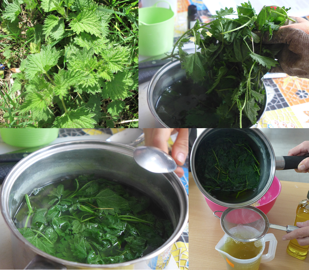 Nettle highlight.png