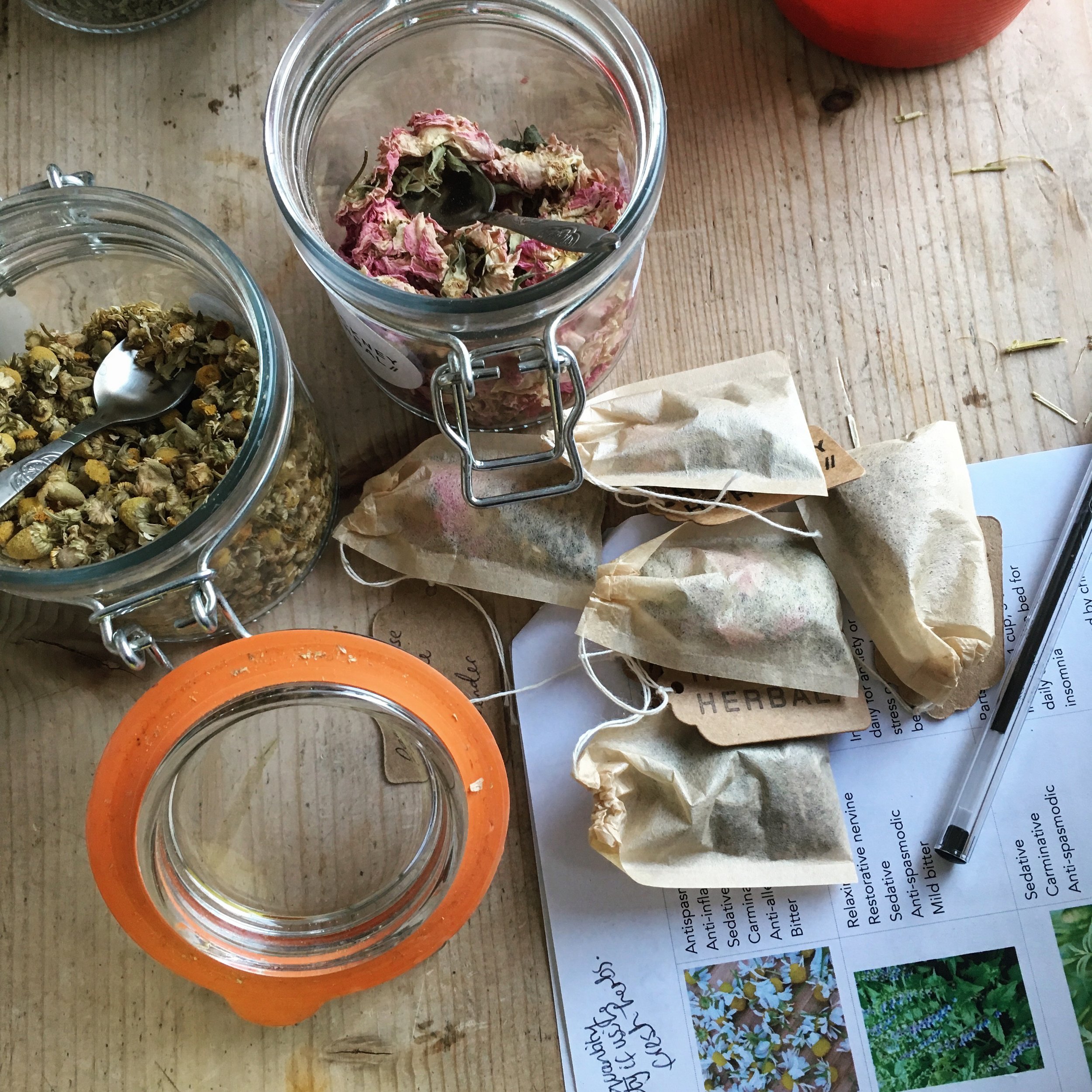 Hackney Herbal | Herbal Tea Bags and Herb Jar.jpg