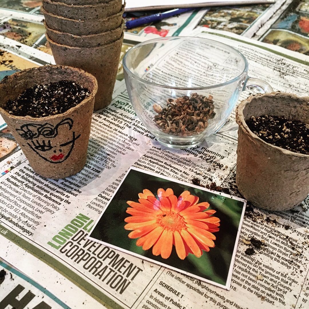 Hackney Herbal |Sowing seeds community.jpg