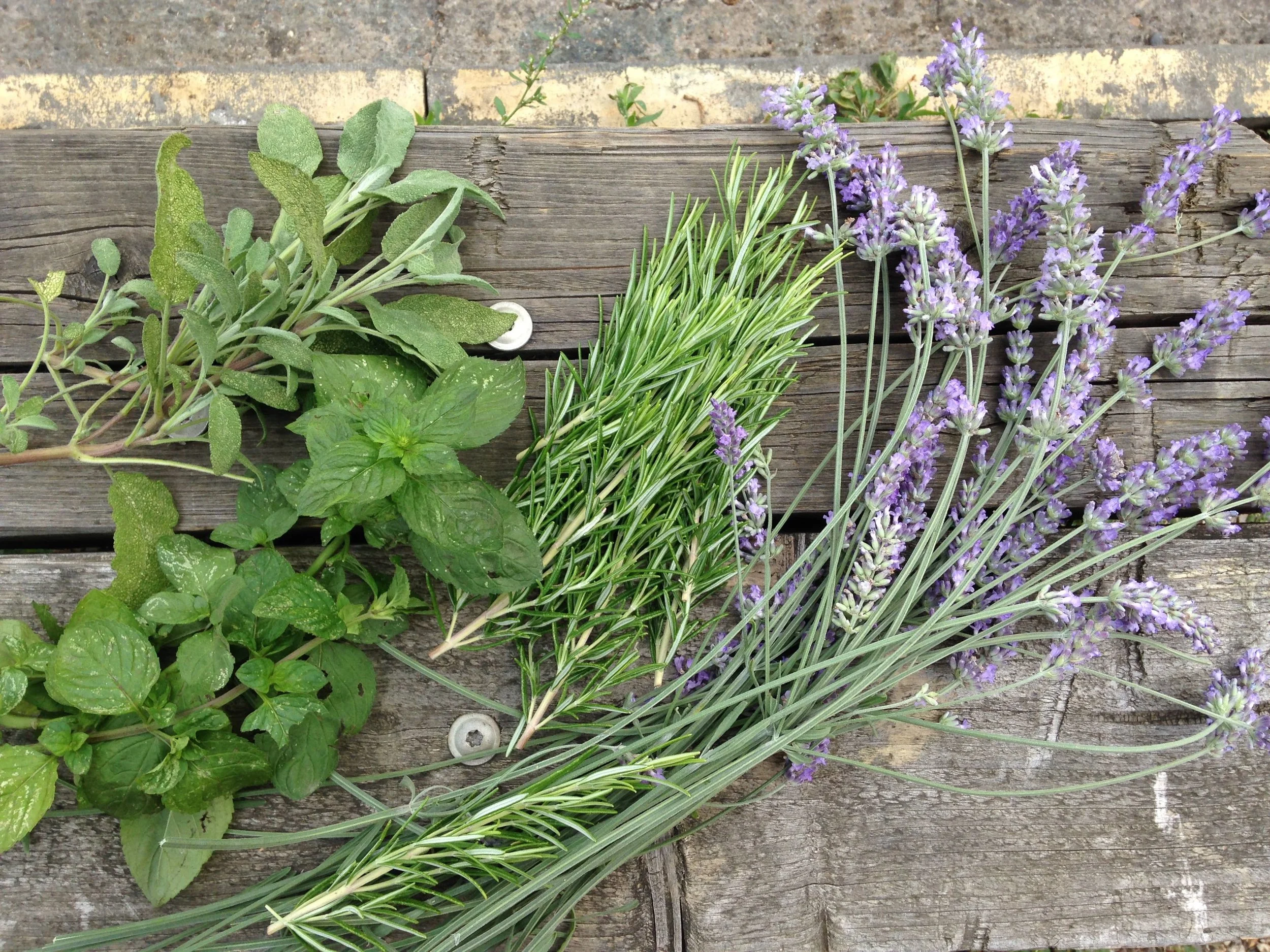 Herbal Wellbeing Masterclass