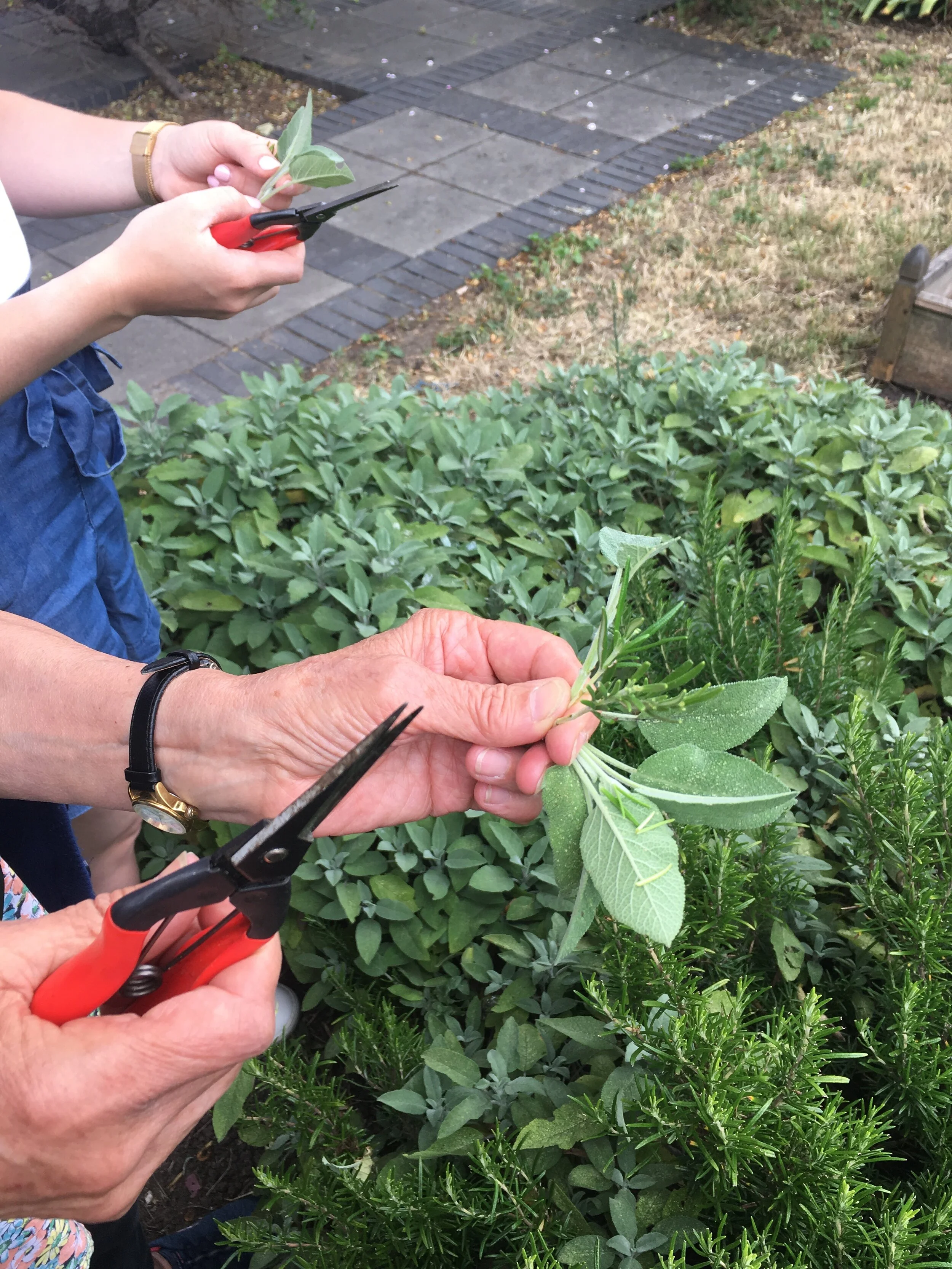 Social Prescribing: Nature prescriptions on your doorstep