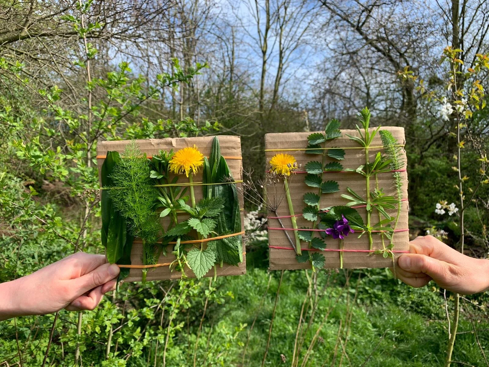 Nature Connection // Let Spring Be Your Guide