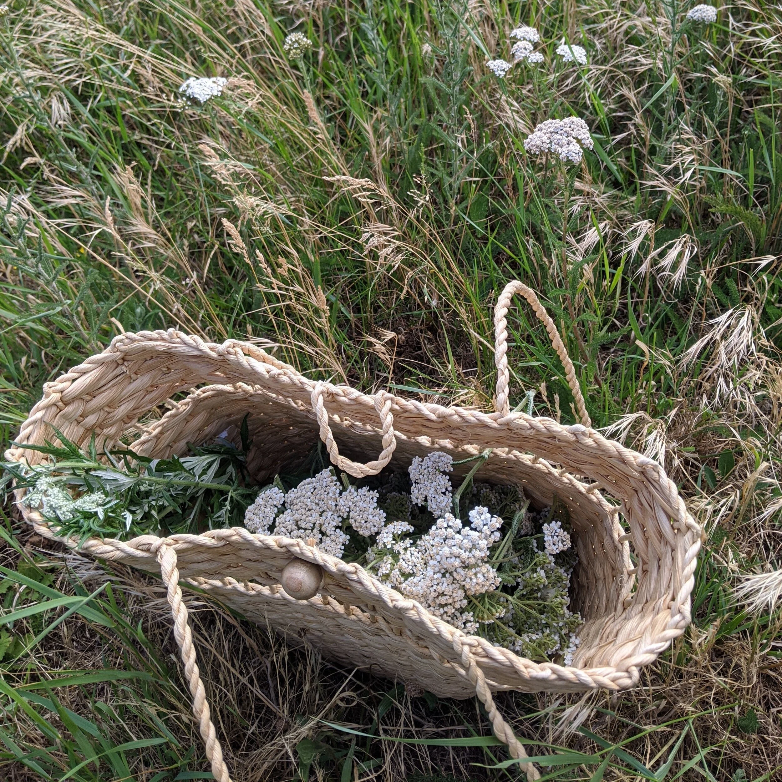Virtual Herb Walk // Late June
