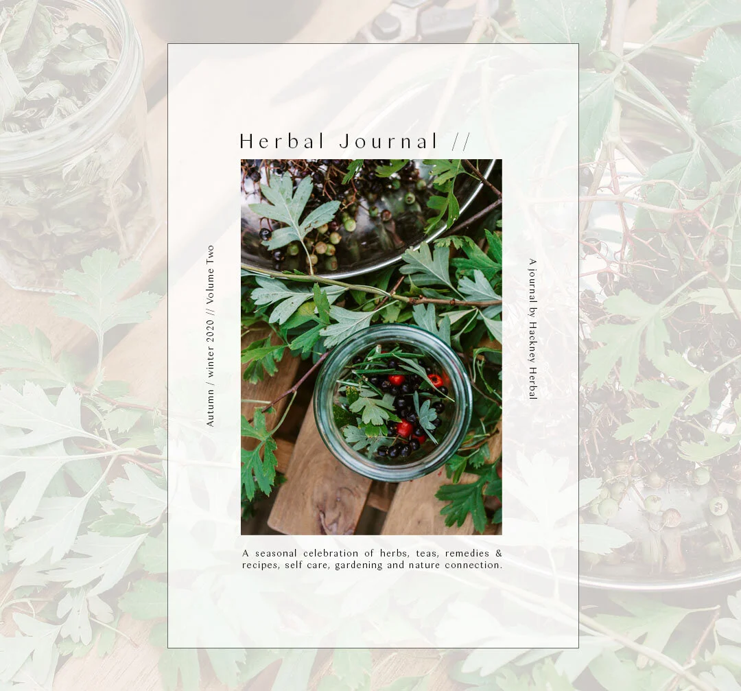 Herbal Journal - Volume 2 - Autumn / Winter 2020