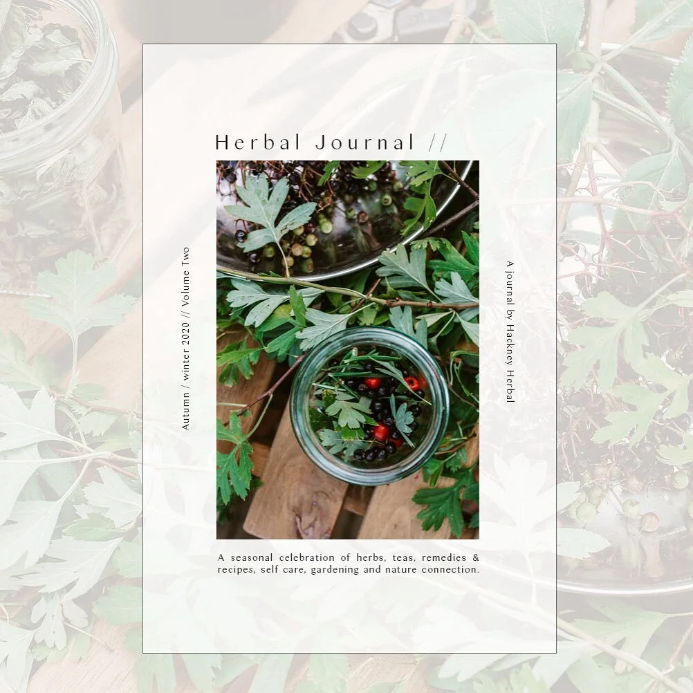 Herbs in August — Hackney Herbal