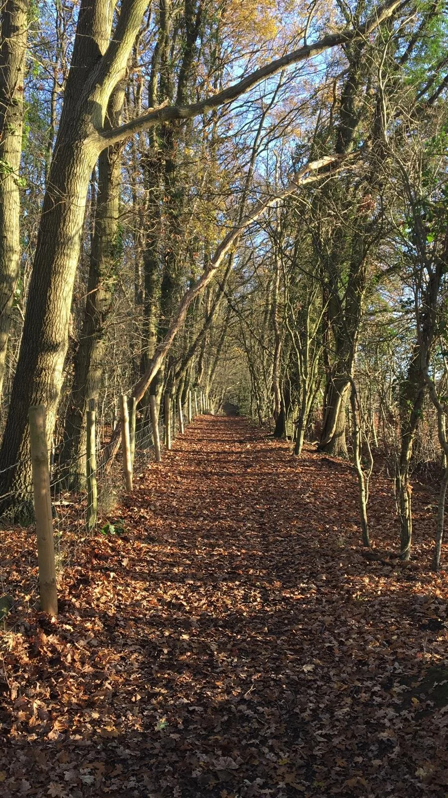 Tips for Connecting With Nature During Winter