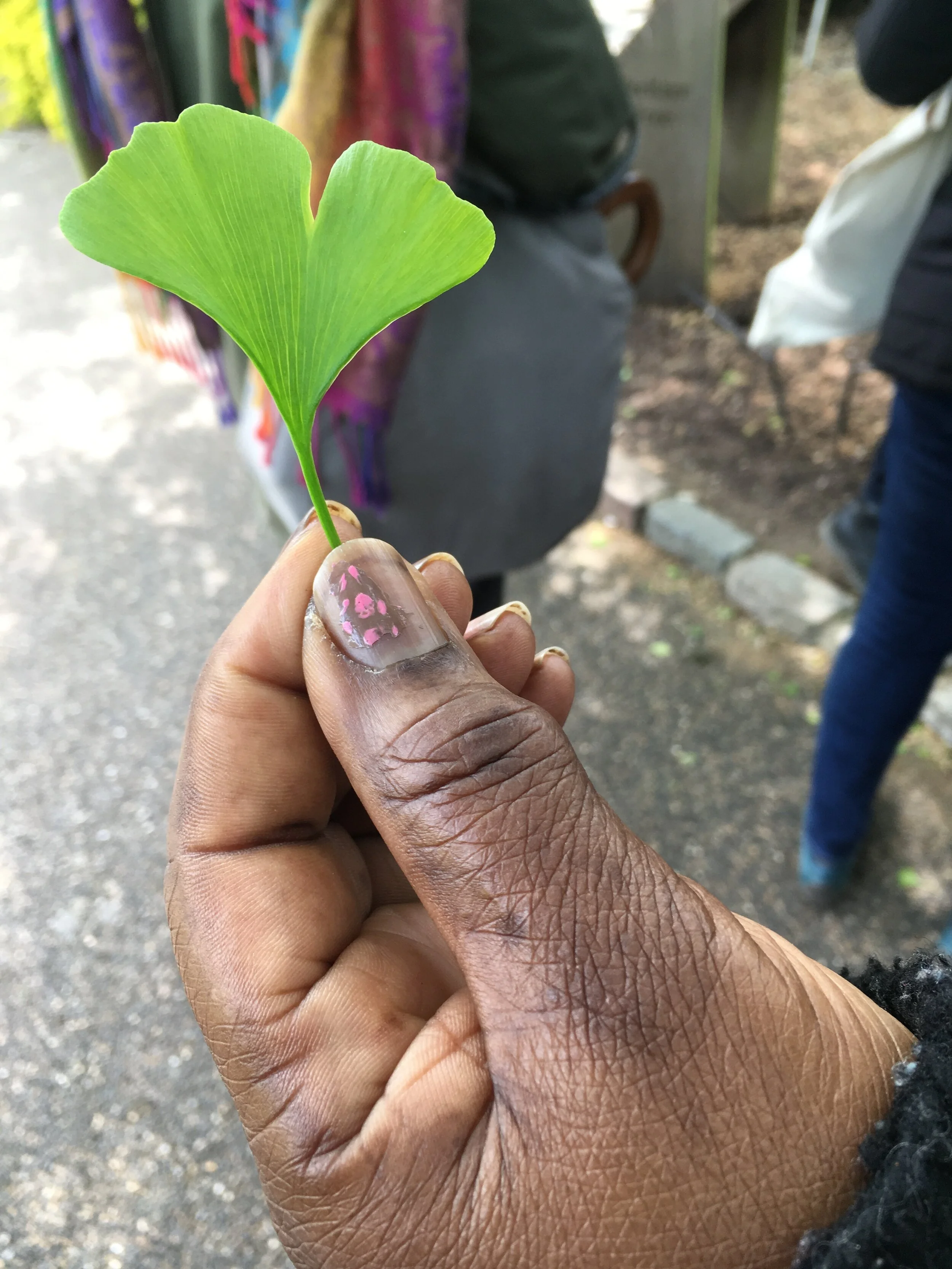 Nature Connection // Let Spring Be Your Guide