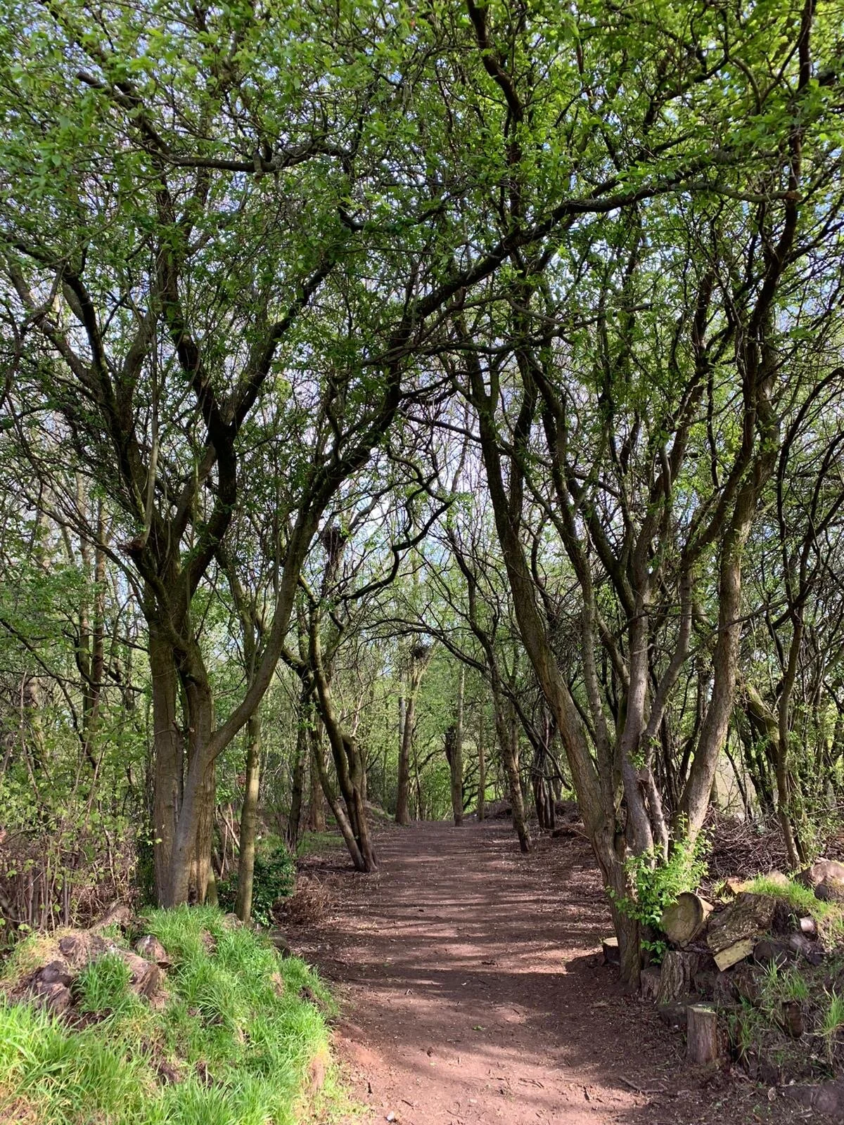 Tools, projects and other resources that inspire us to connect with the natural world