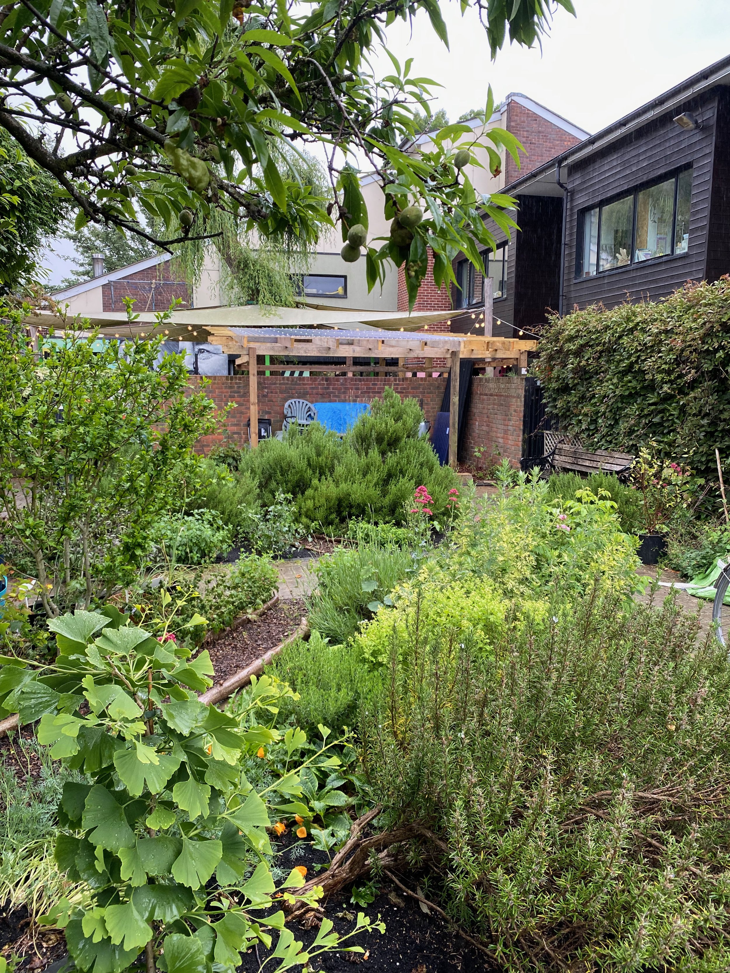 Plant Sale & Garden Open Afternoon