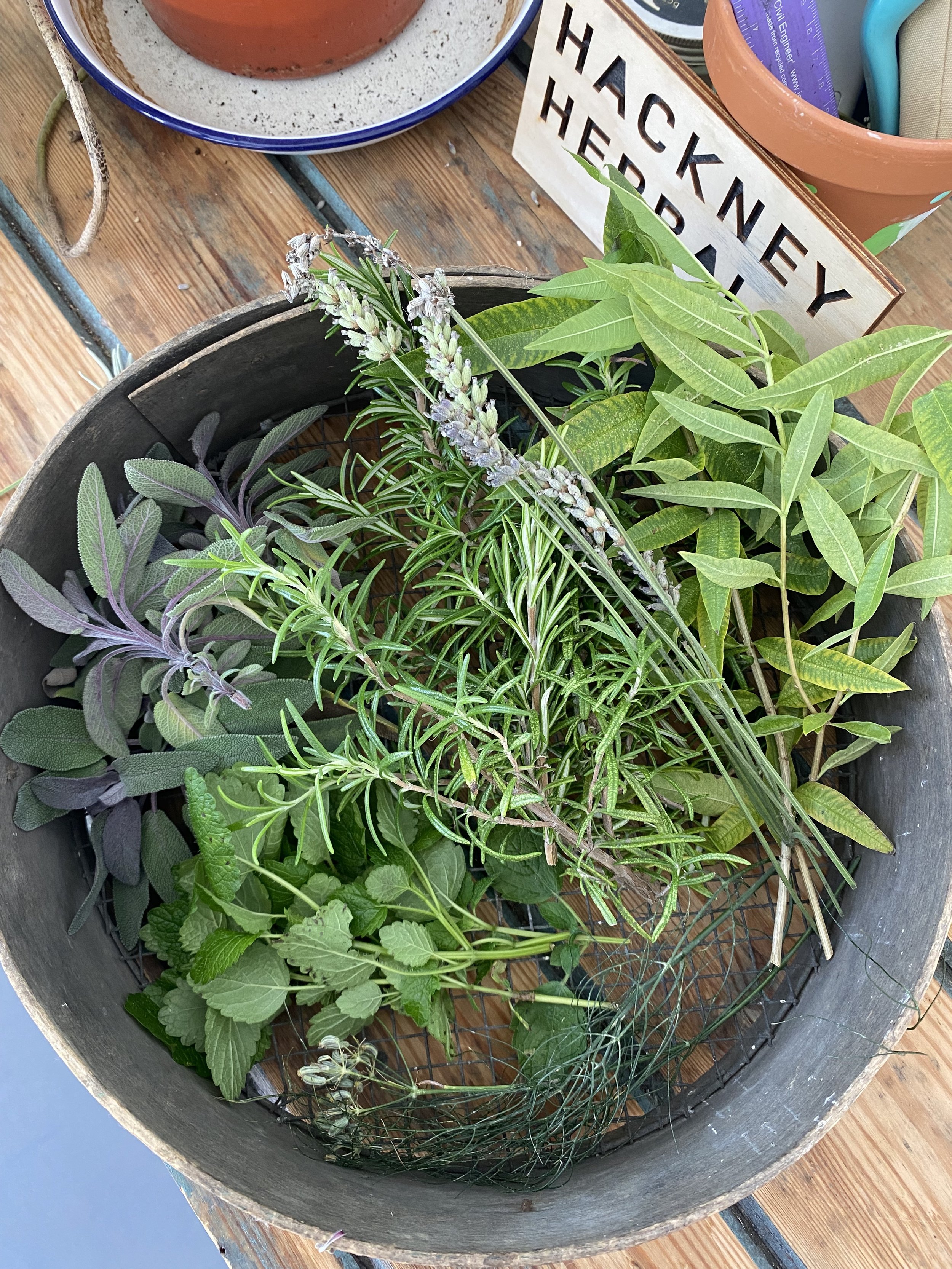 Fresh herbs HWB.jpg