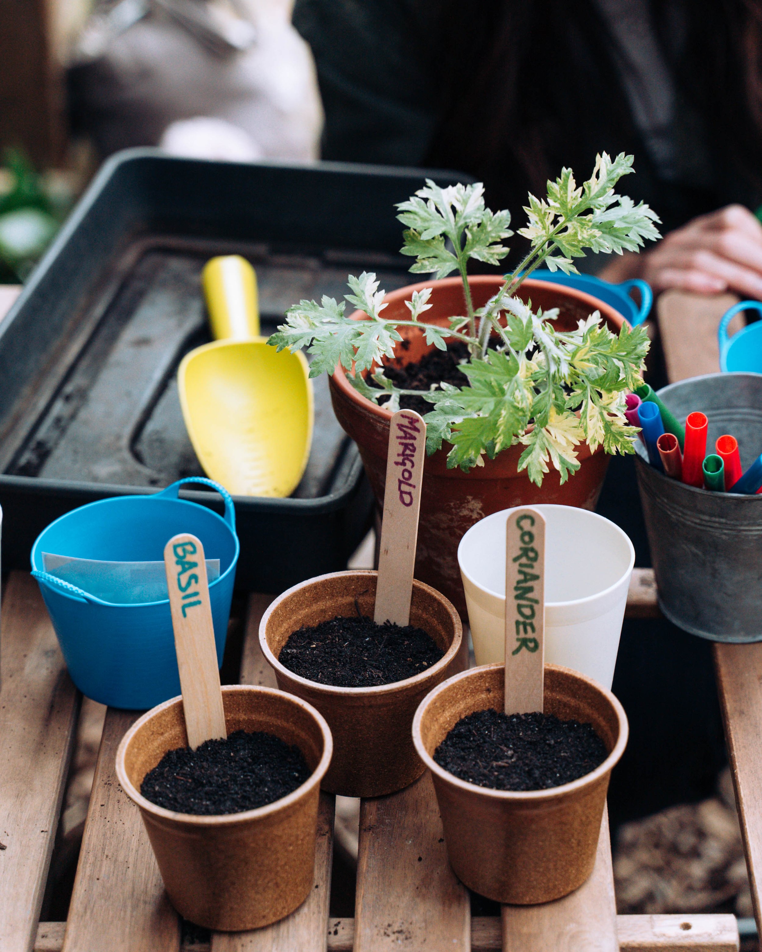 Hackney Herbal-Growing-01087.jpg