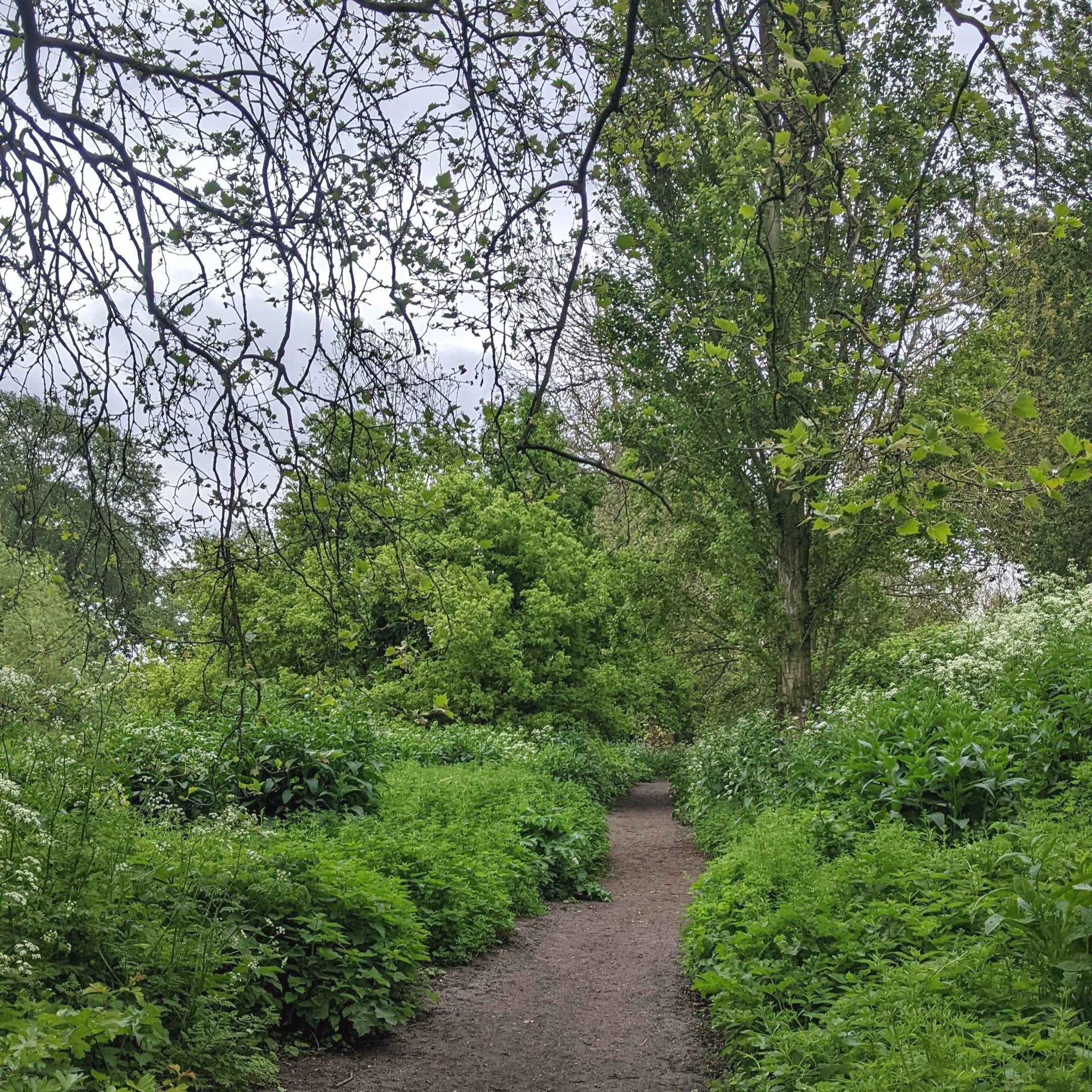 Herb Walk at Hackney Marshes (Pavilion)