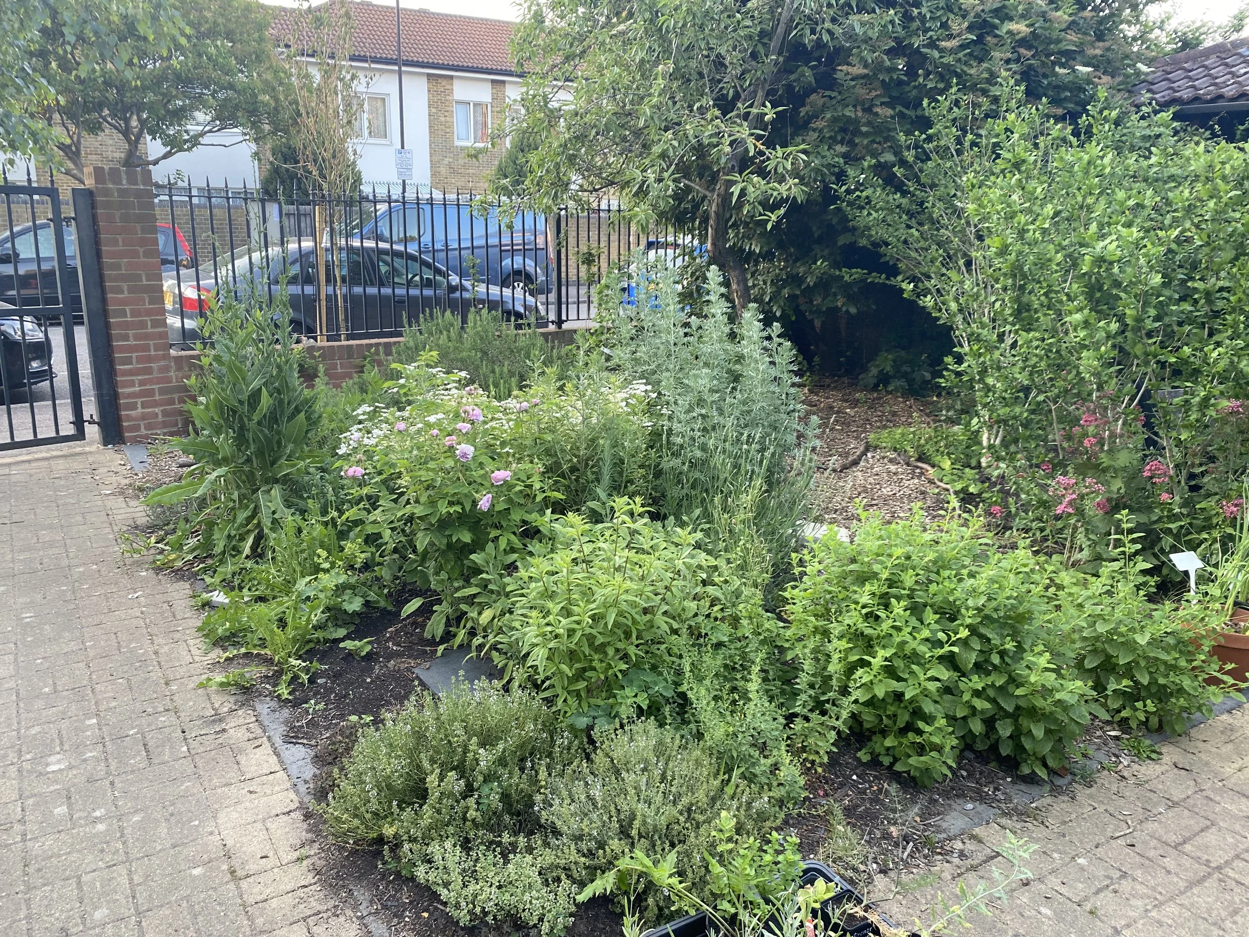 Garden Open Afternoon 