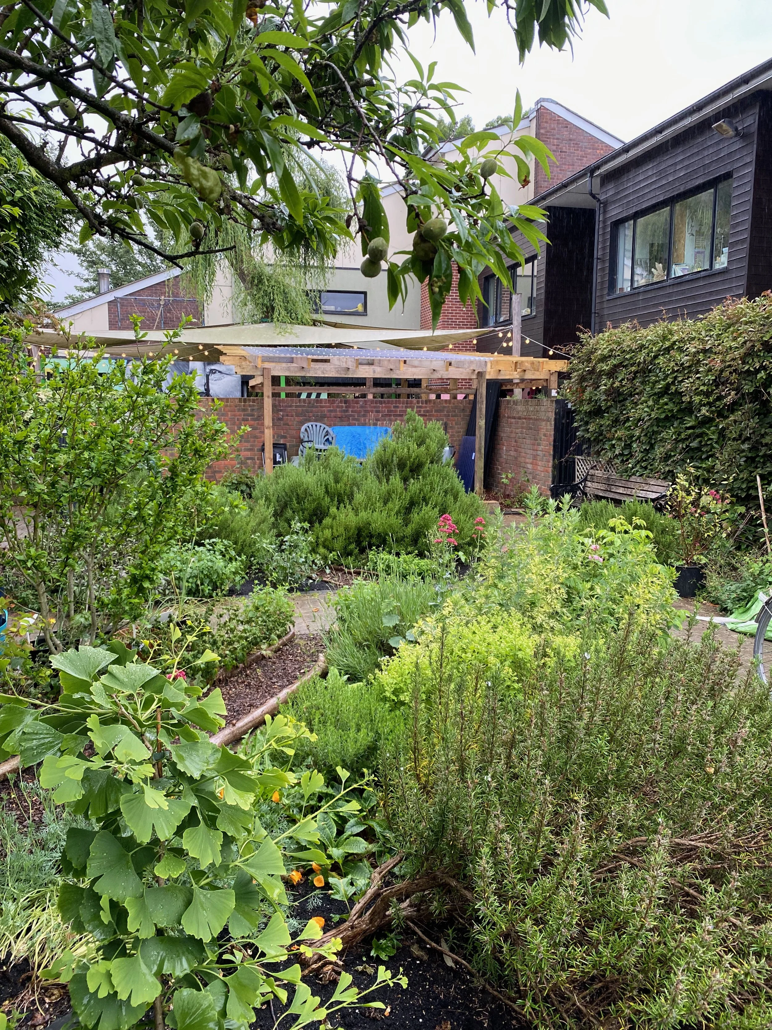Garden Open Afternoon  
