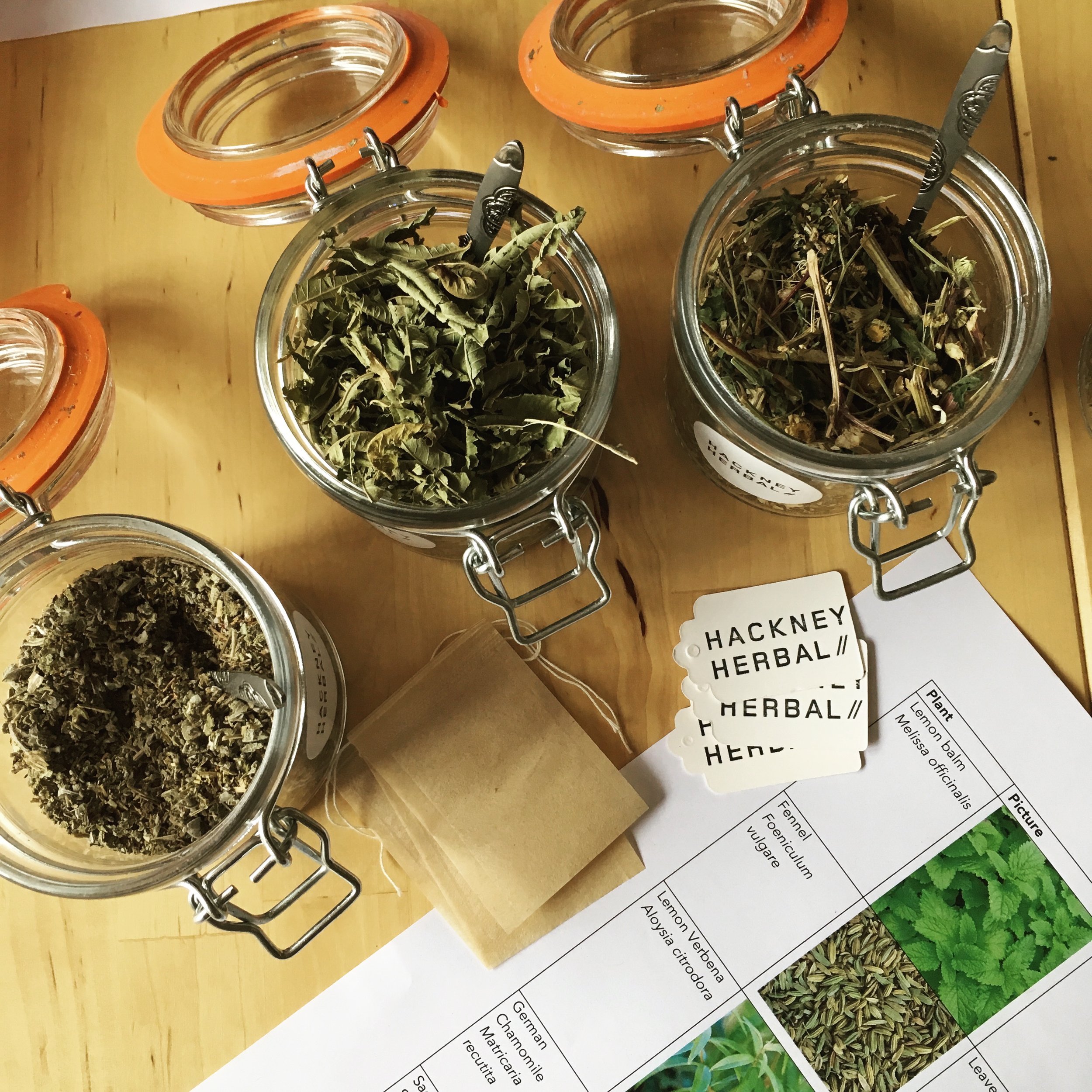 Hackney Herbal | Herbal Tea Workshop.jpg