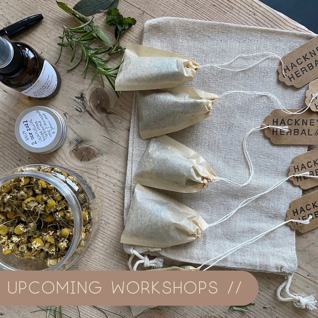Upcoming Herbal Workshops //

Join us in our studio for cosy workshops and learn how to make herbal goodies this winter including herbal teas, balms, warming oils and foot soaks. You can also sign up to our first Herb Walk of the year to discover the