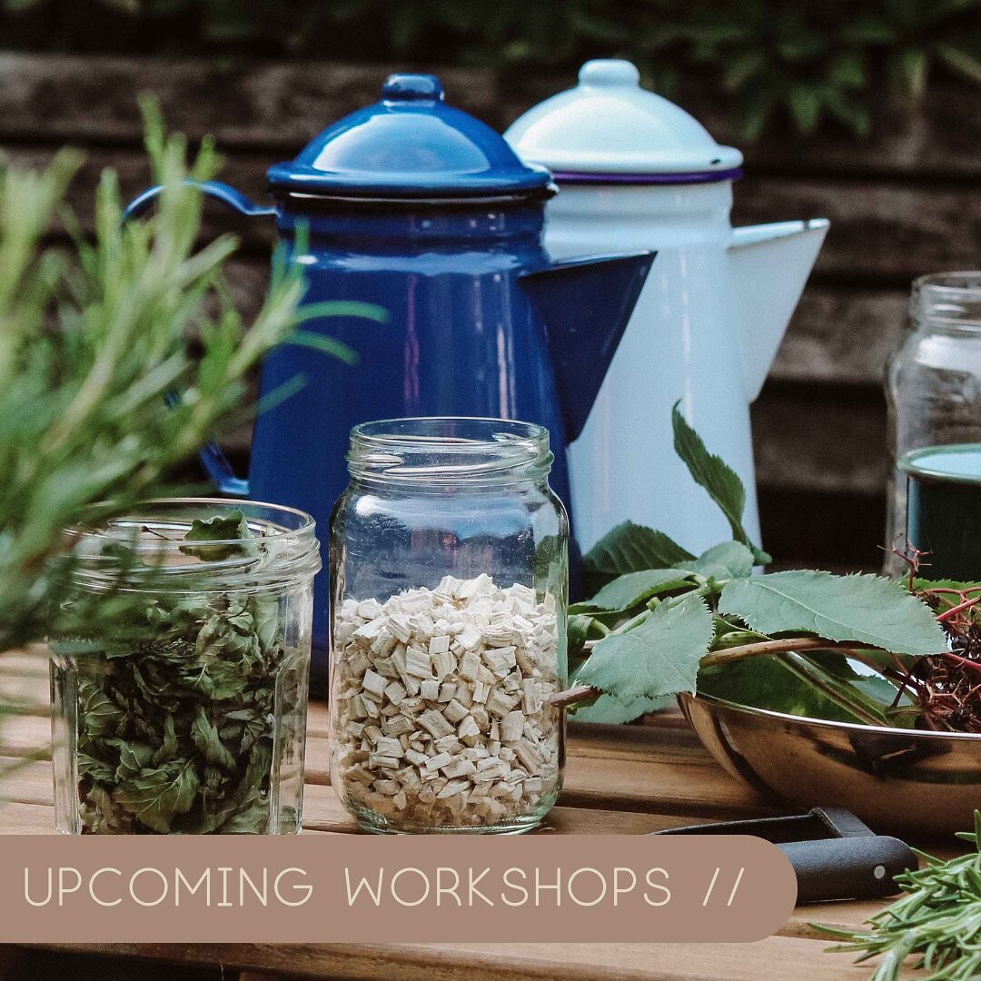 Upcoming Herbal Workshops //

All our February workshops and walks are now sold out 🔥  You can still email us to join a waiting list as sometimes we have last minute drop-outs. Check out what is coming up over the coming weeks. We are also looking f