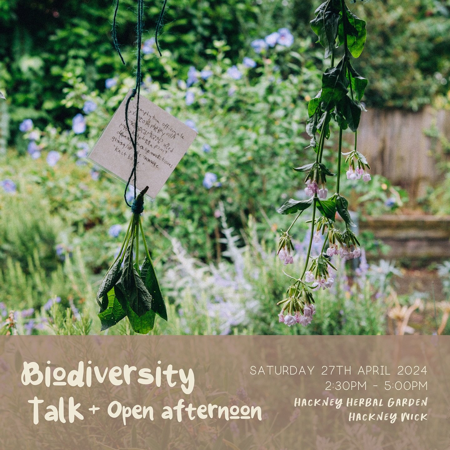 As part of @capital_growth Good To Grow Week, we&rsquo;ll be hosting an informal talk at our Herb Garden in Hackney Wick looking at how herbs can massively increase biodiversity and support wildlife in our gardens. We will explore the many roles that