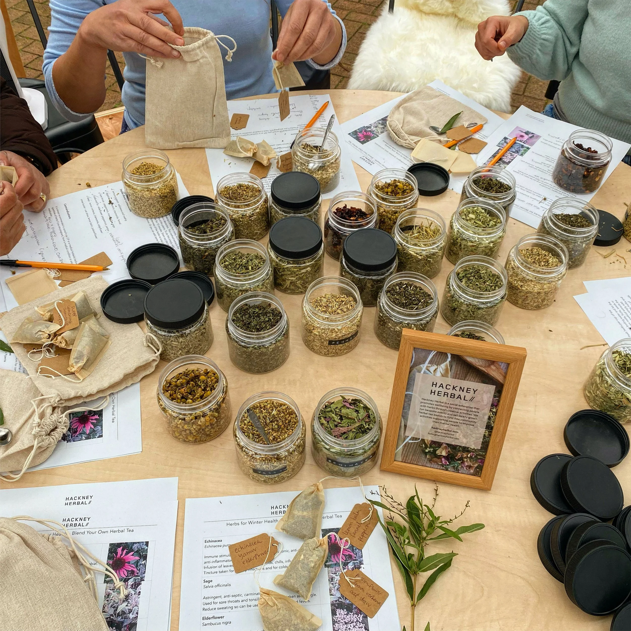 Botanical Day at Brunswick Centre 