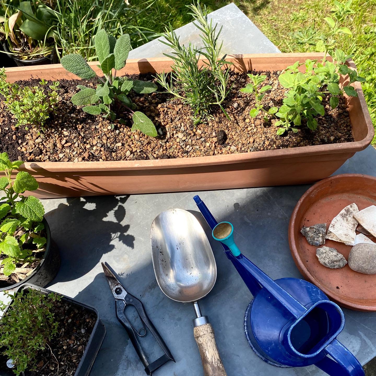 The sun is here and the weather has finally warmed up 🌞 May is the perfect time to get going on a growing and gardening project. We often find that seeds we sow now grow quickly and catch up with others we have sown earlier in the season. 

Here are