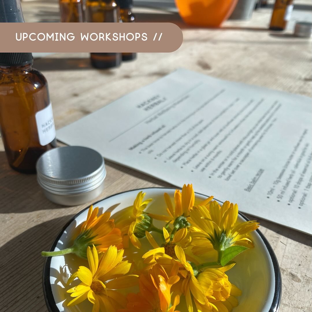 Upcoming Herbal Workshops //

As we head further into autumn we would love you to join us for one of our upcoming herbal workshops. We&rsquo;ve got a mixture of classes coming up where you can learn about the healing powers of plants. In these sessio