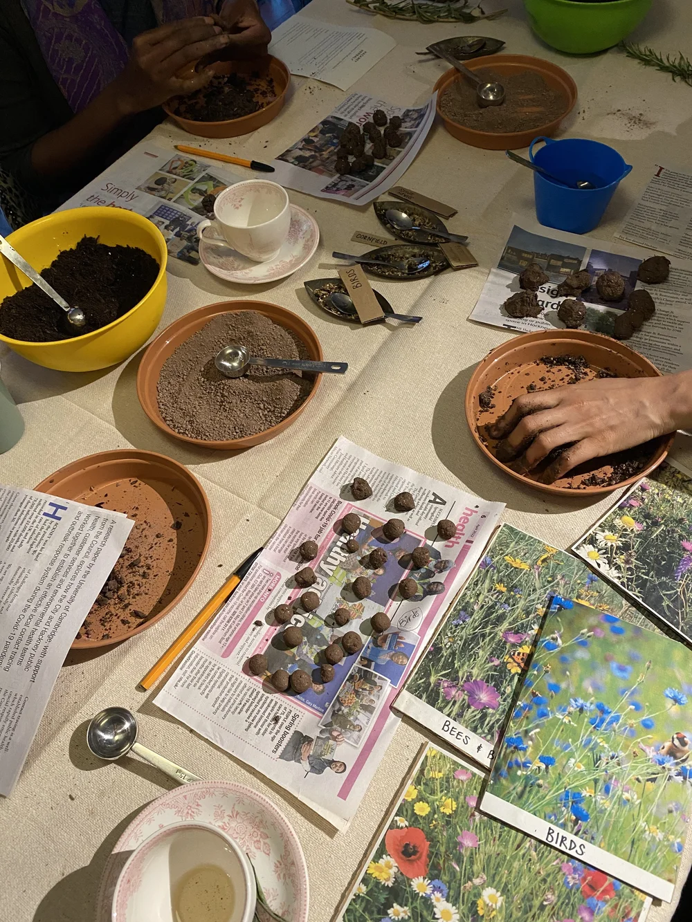 Making seed balls HOH.JPG