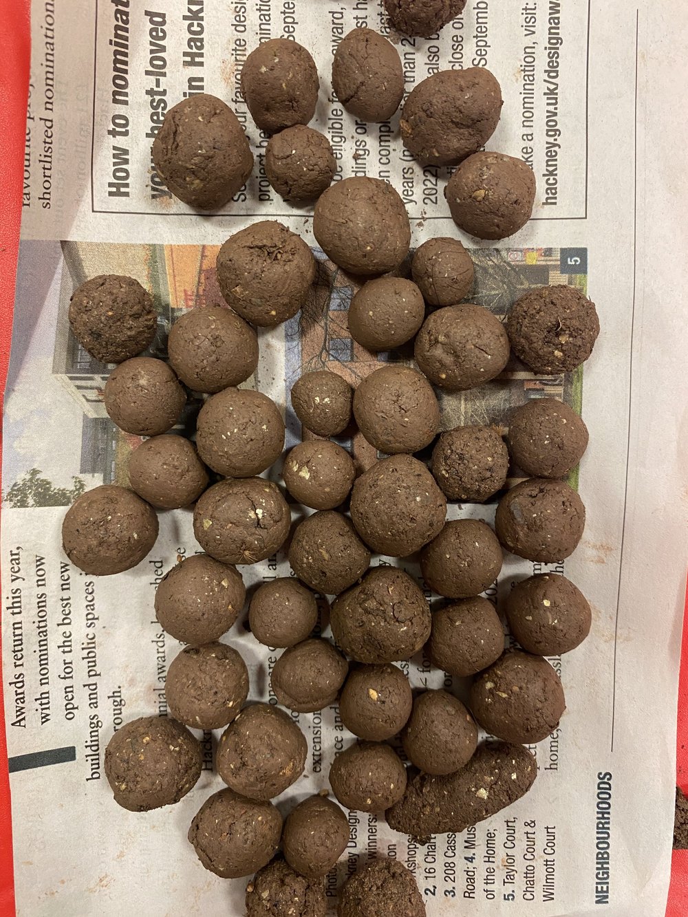 Wildflower seed balls.JPG