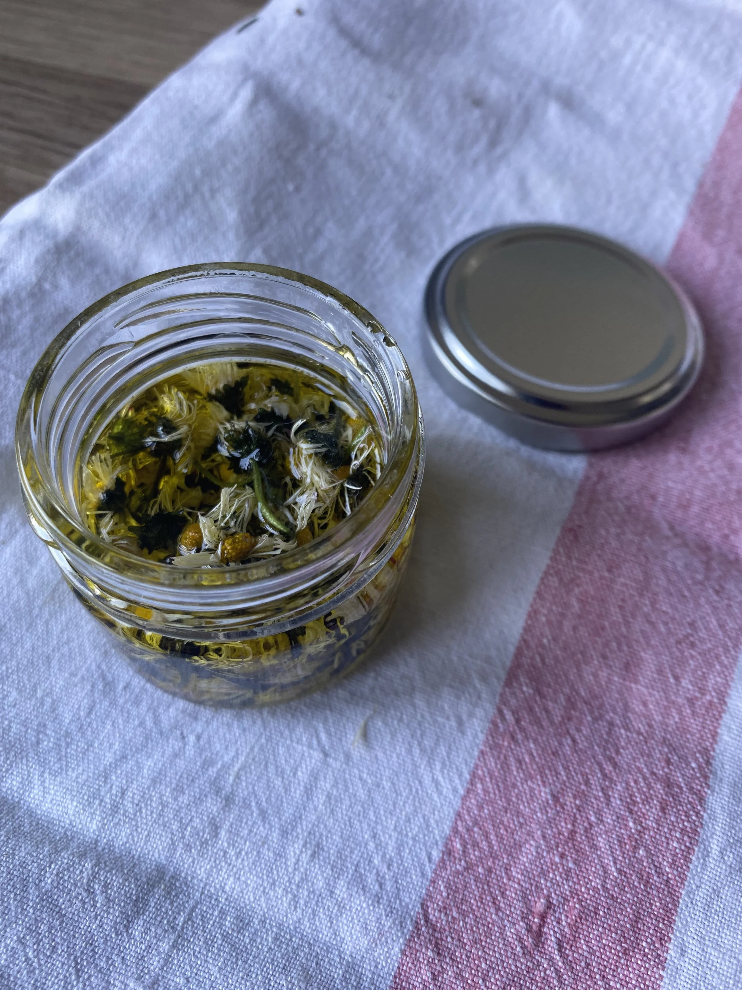 Spring Remedies - Daisy infused oil