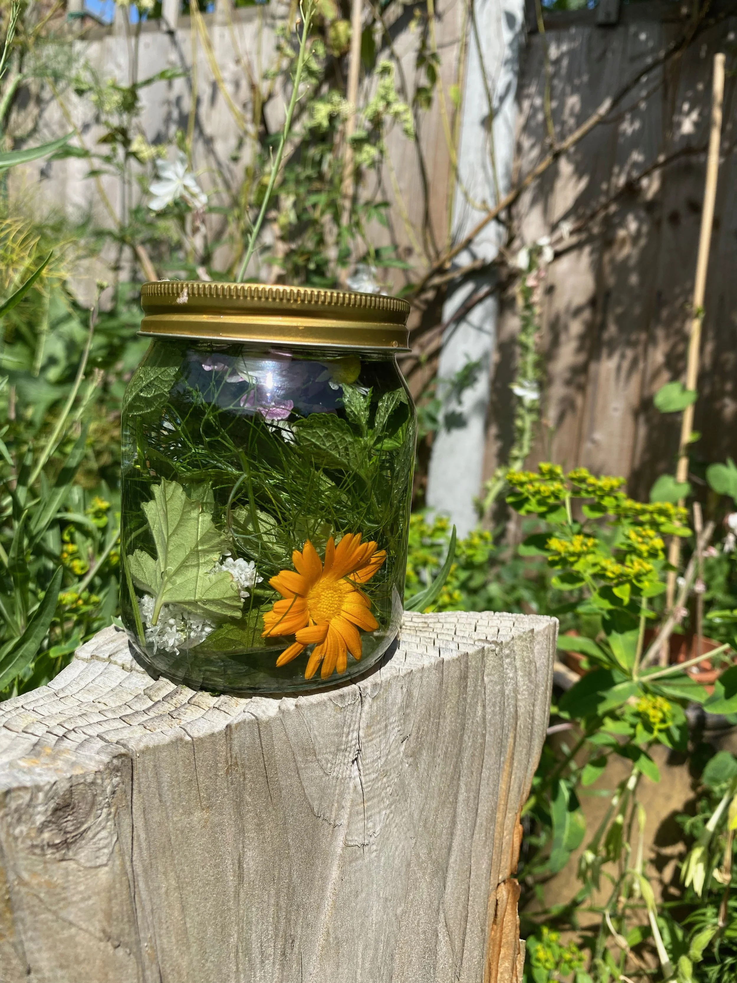 Solar Remedies - Make a Sun Tea