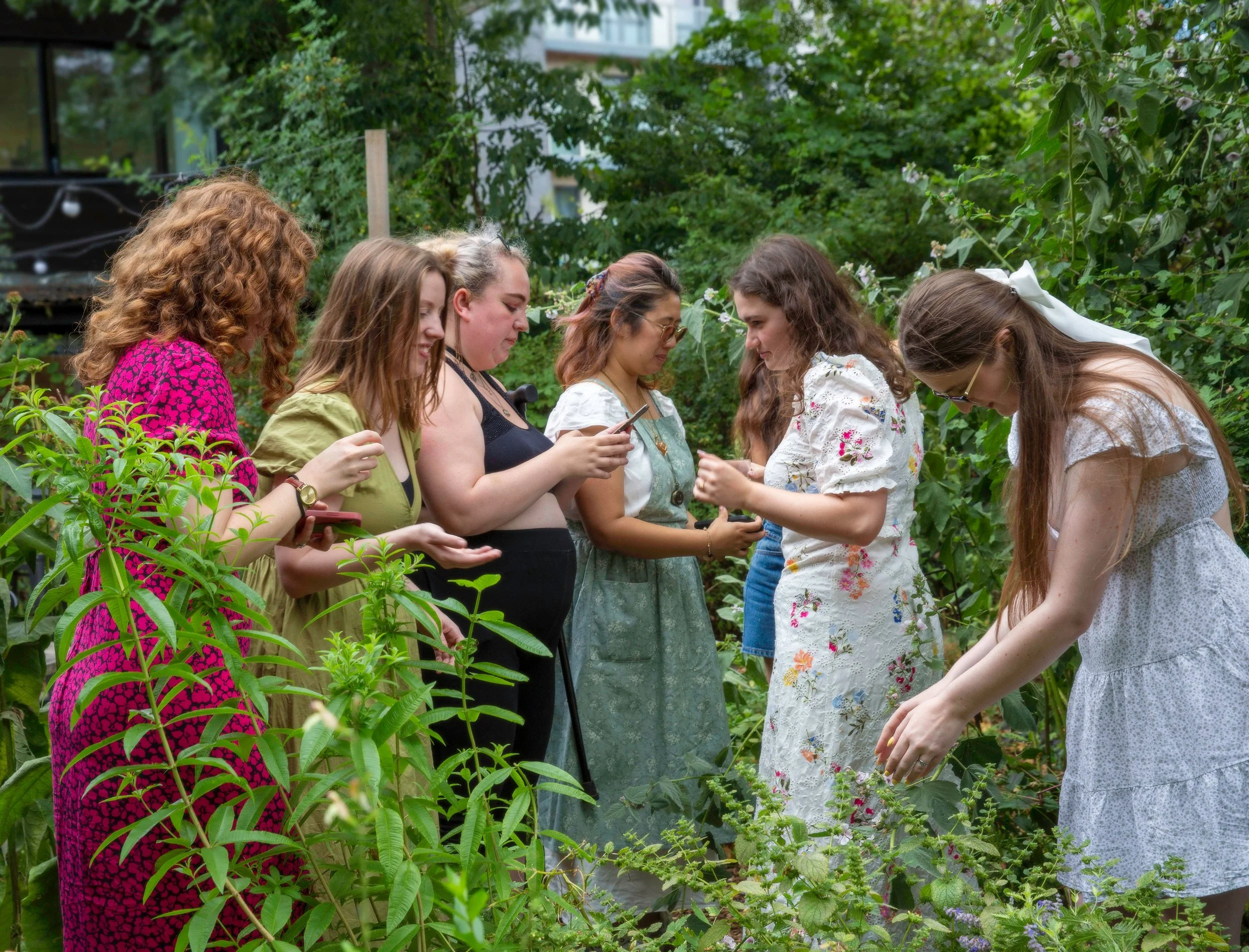 HackneyHerbal-61.jpg