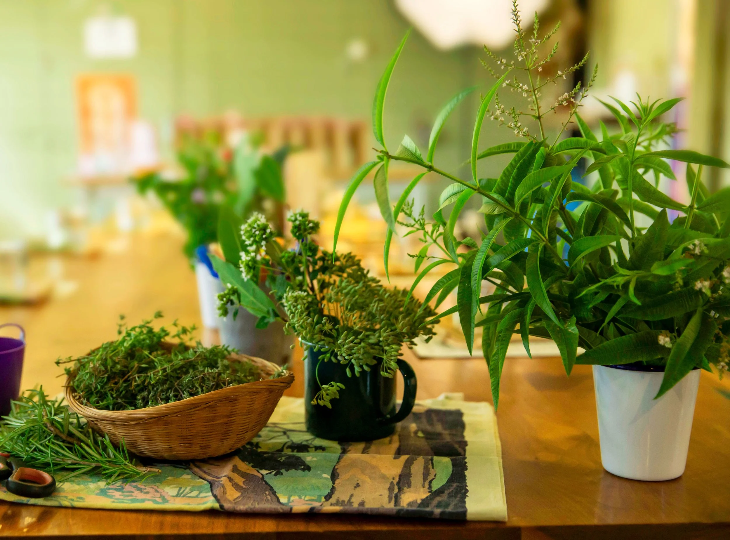 HackneyHerbal-153.jpg