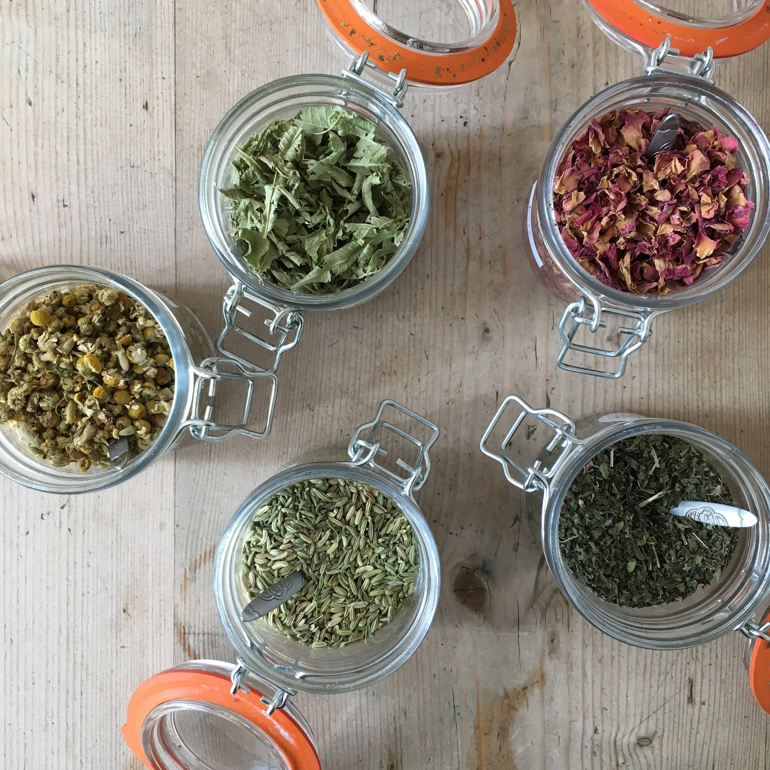 Jars of dried herb - herbal tea.JPG (Copy)