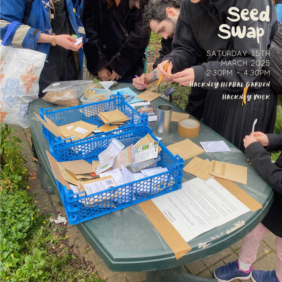 Spring Equinox Seed Swap — Hackney Herbal