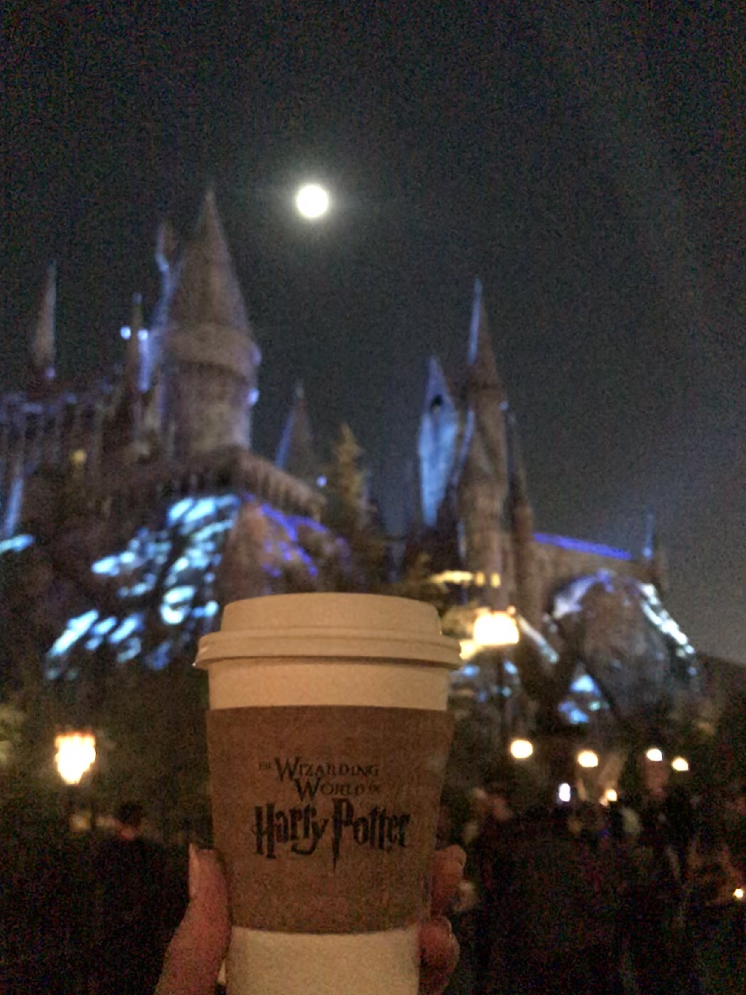 Snow Falls In The Wizarding World of Harry Potter