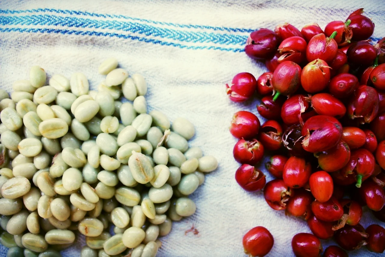 Really? I can roast my own coffee beans?