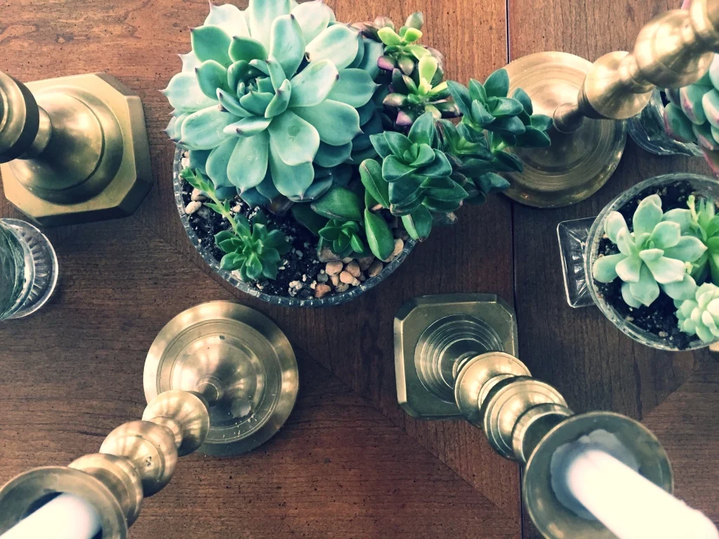 The Art of Thrift-store Decorating