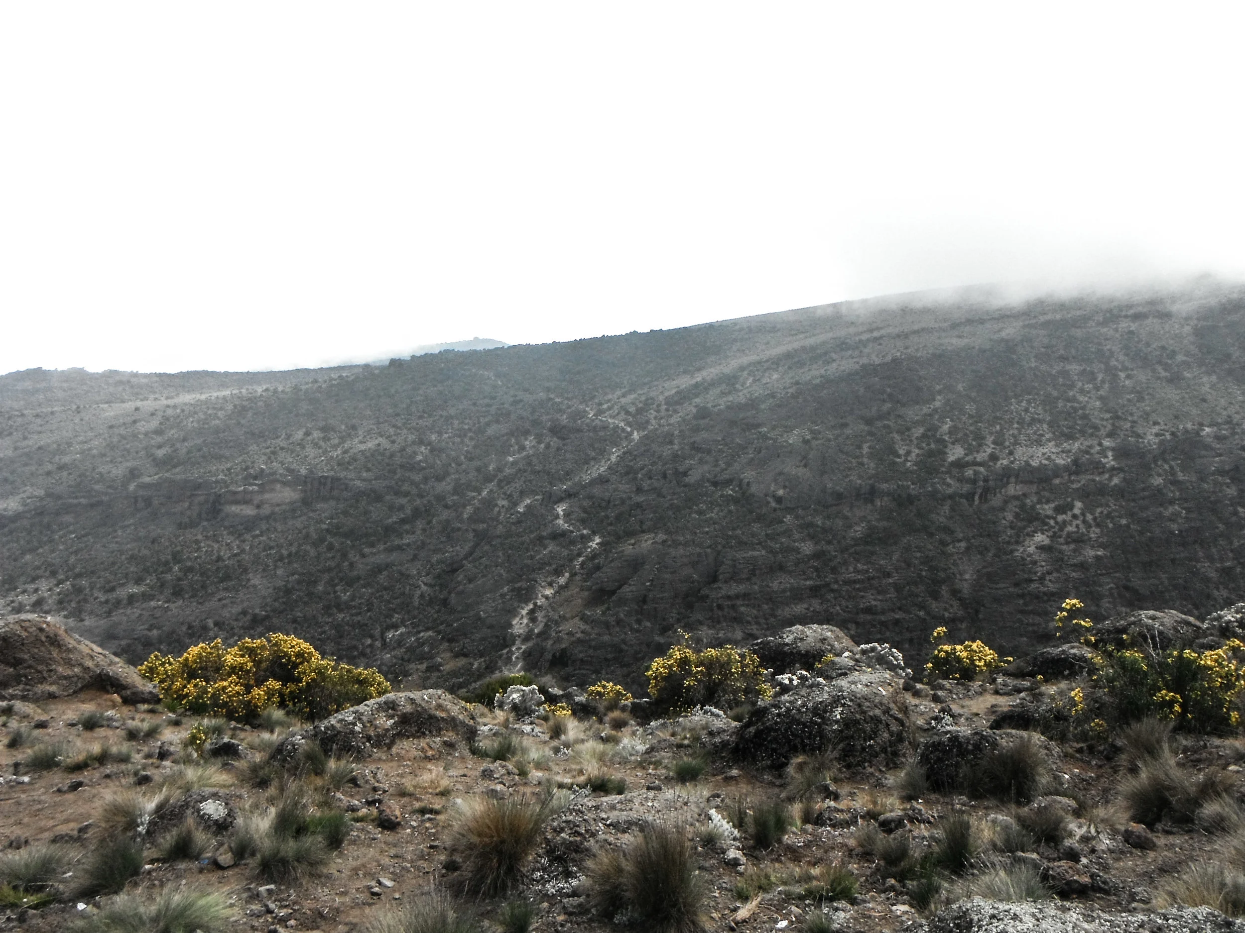 DSCF0614.jpg