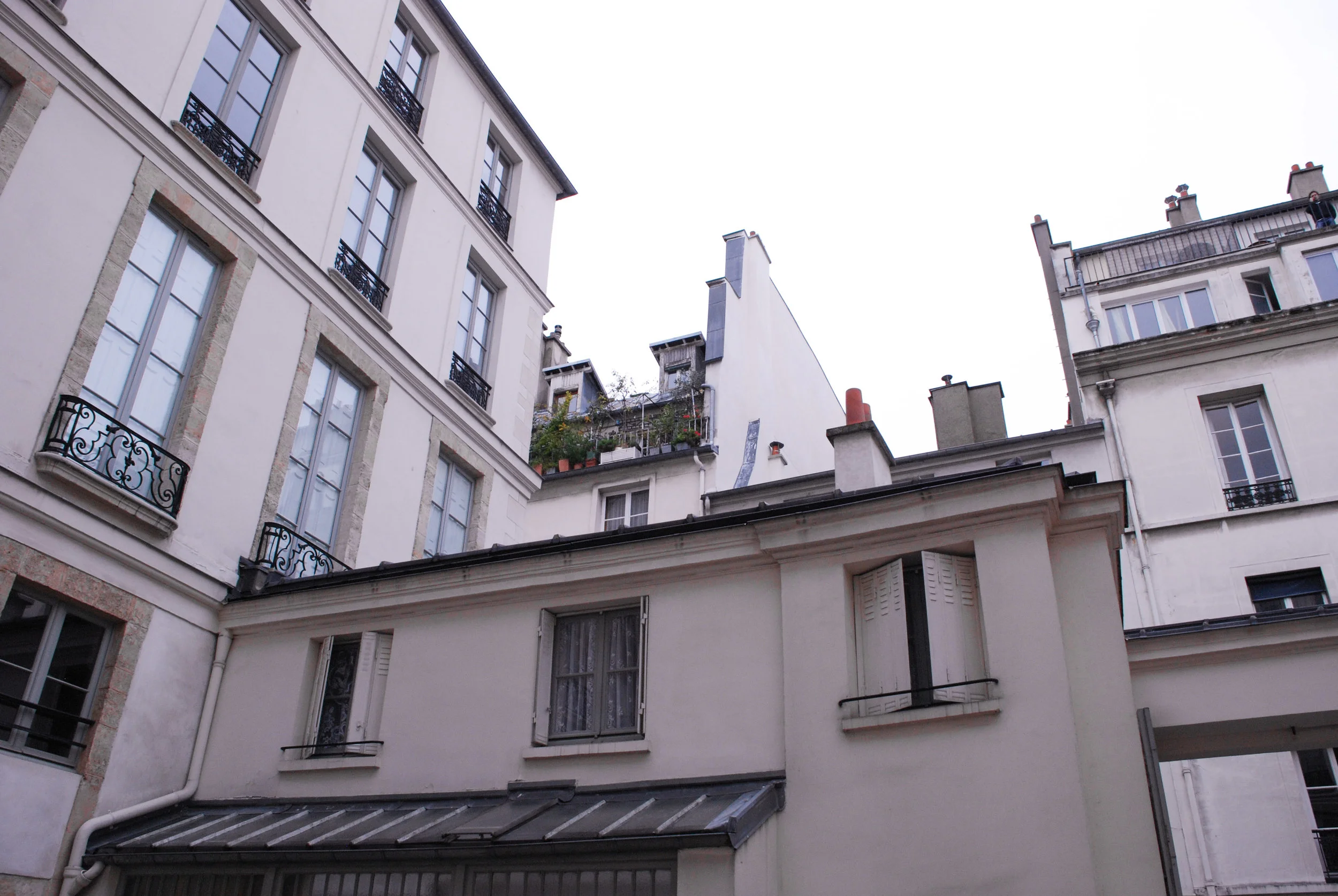 DSC_0006 2.jpg