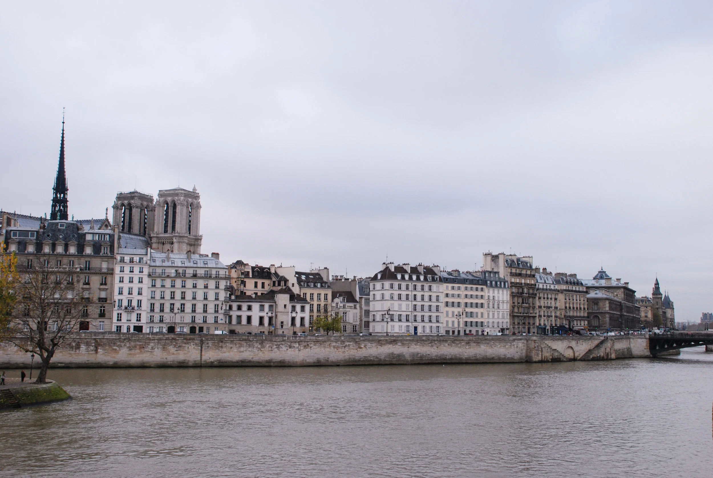 DSC_0093.jpg