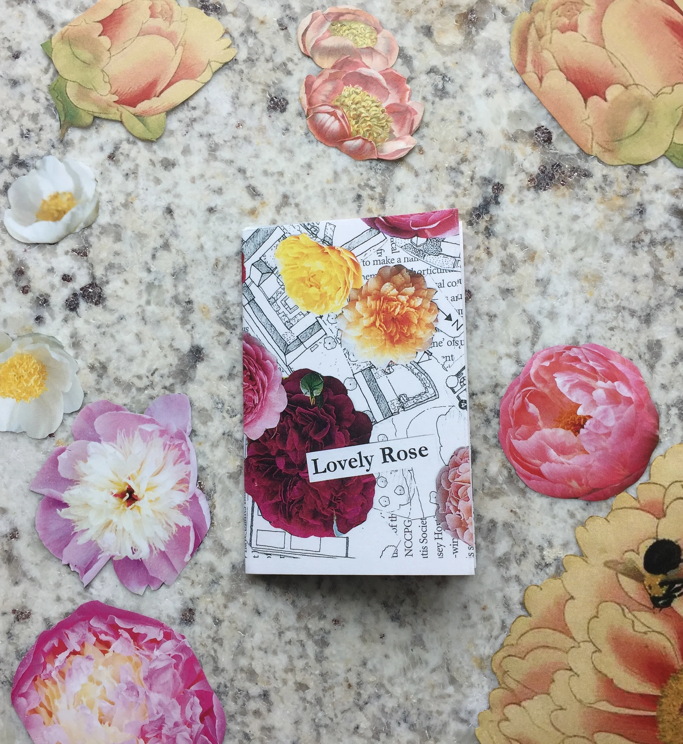 "Lovely Rose" by MJ Millington, 2018