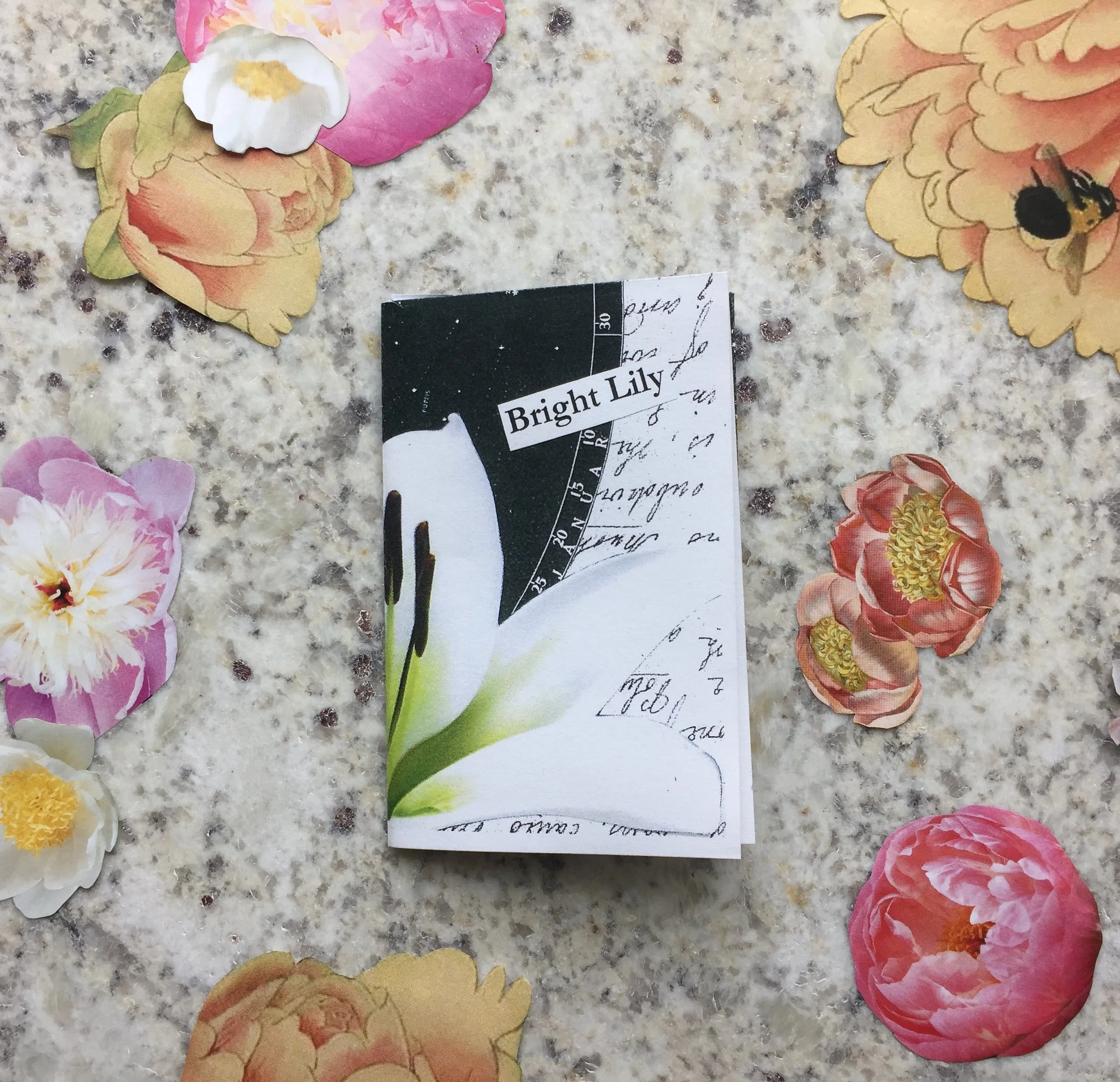 "Bright Lily" by MJ Millington, 2018