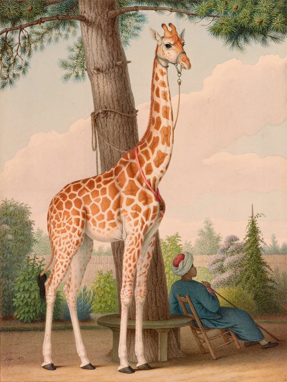 Study of the Giraffe Given to Charles X by the Viceroy of Egypt (1827), by Nicolas Huet II