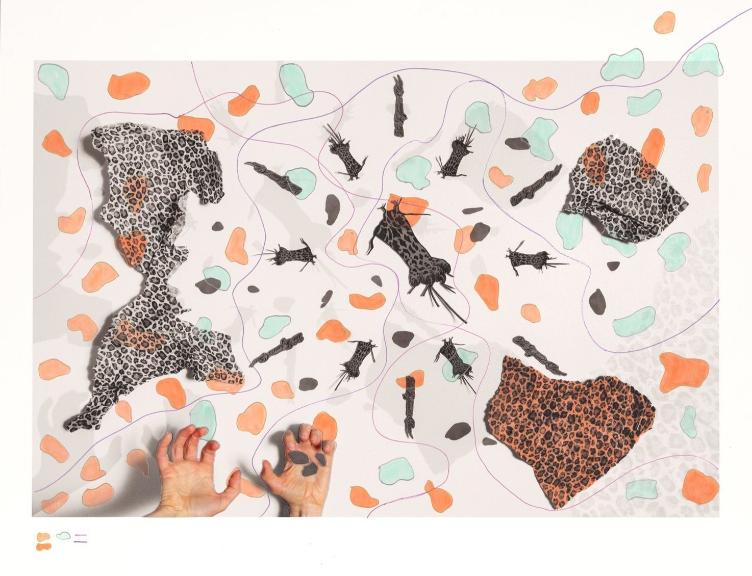Leopard Tracks (hand colored), by Meredith Miller