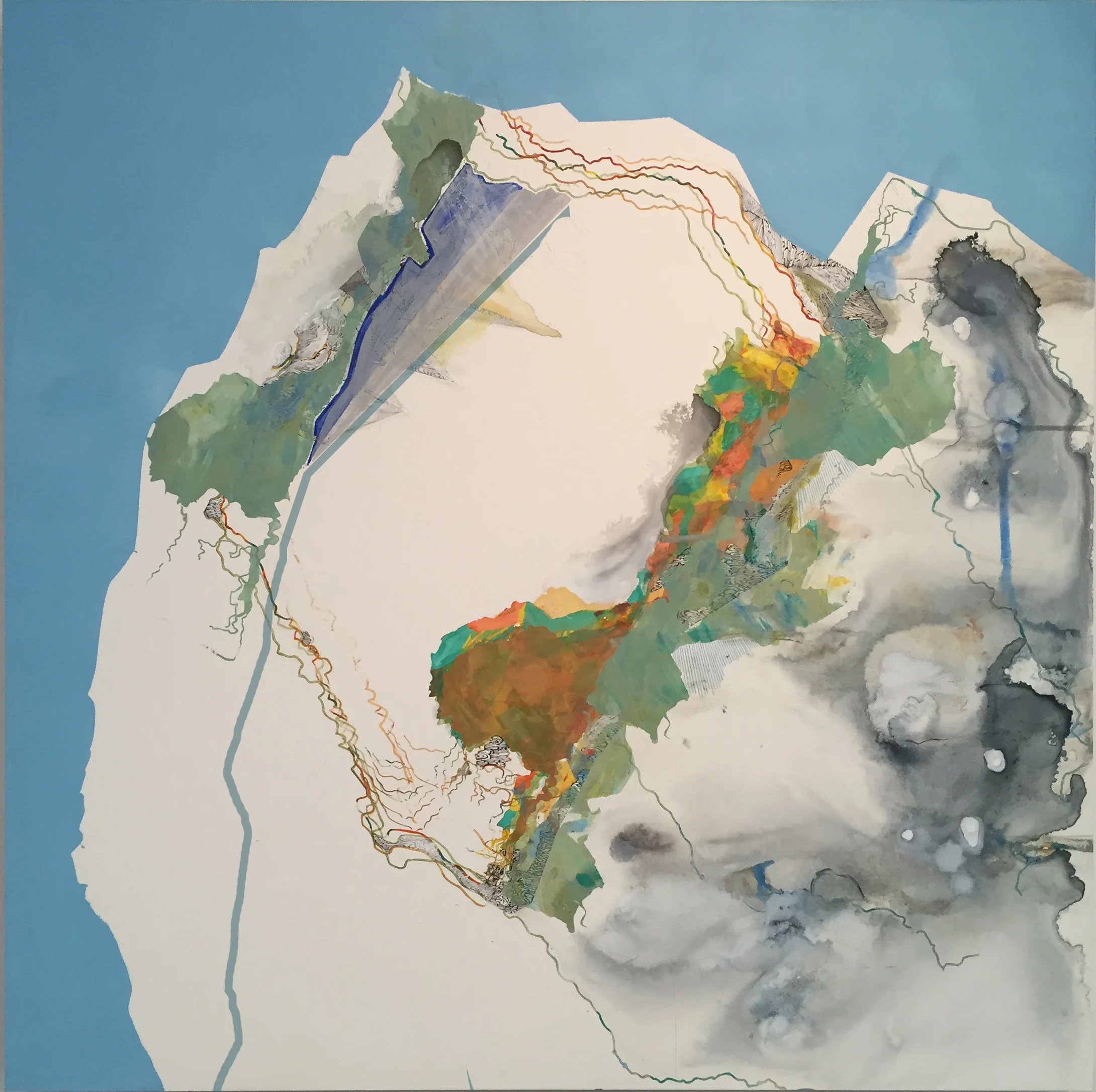 Humboldt , Acrylic paint, pencil, and ink on wood panel, 36”x 36”x 2"d, 2016