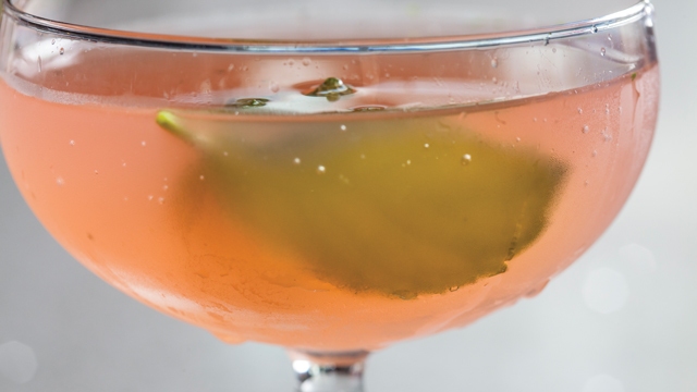 Delicate, balanced, and fragrant, the ImpeachMint is remarkably drinkable and so much fun to say out loud. (Photo by Lori Eanes)