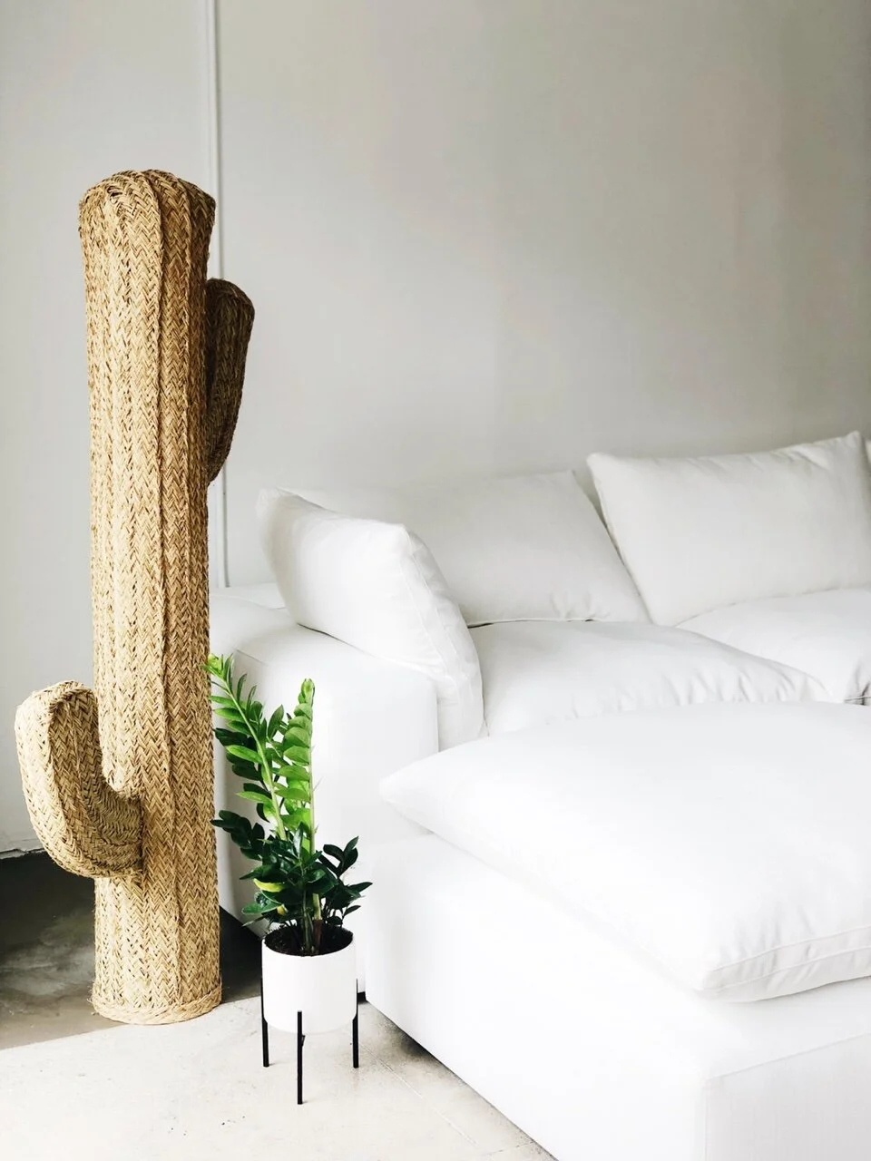 Pop Display: 6ixthsense